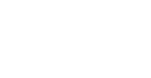 A&E MXV